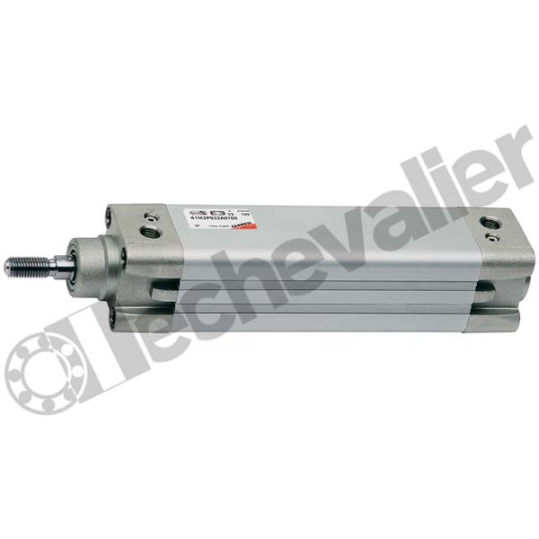 61M2P032A0025 VERIN ISO15552 D.E. MAGN. D32 C25 PROFILE