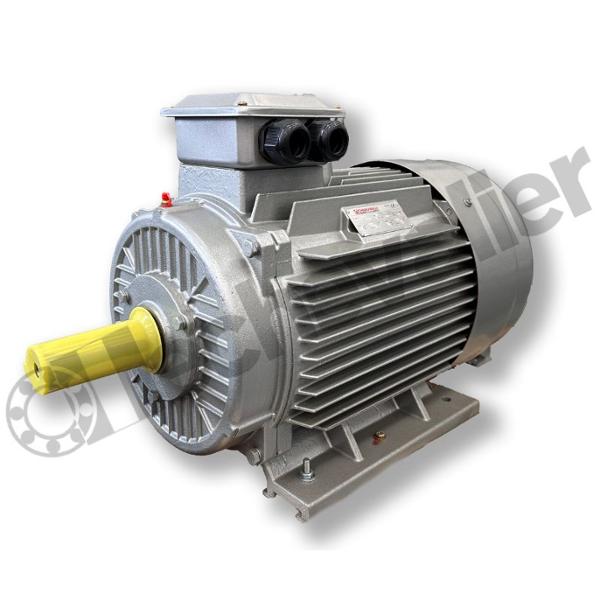 YX3 200L-4 B3 KW30 IE3 MOTEUR SNE 400VD/690VY FONTE