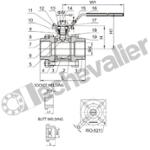 RTSIFF.1/2.3PM VANNE 1/4T FF INOX -20 à +180°C - PI - PN64 - PTFE+FV