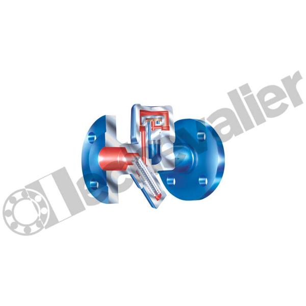 PURGEUR CONA-M 3/4 PN40 ACIER R32B 1.046 FIG:45.613 FAF=95 - ARI