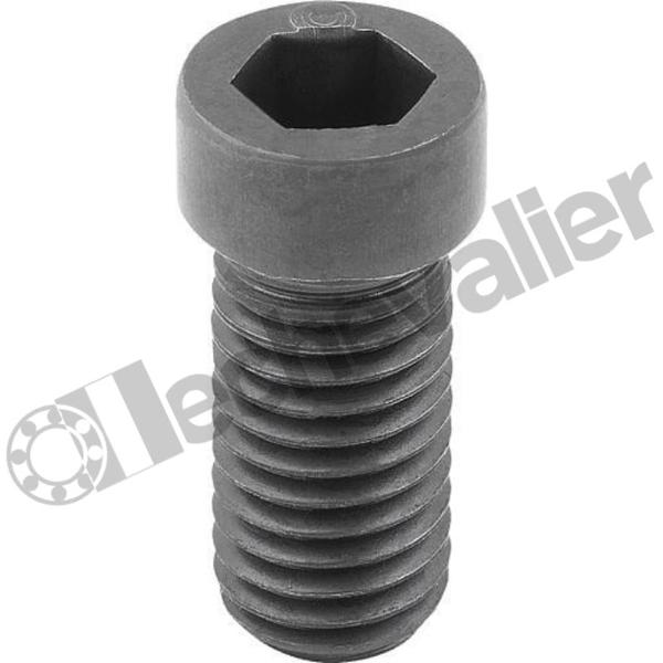 K1969.1630 VIS EXCENTRIQUE M16X30, FORME:A, AC